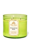 Eucalyptus Mint 3-Wick Candle image number null