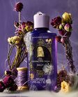 Sally Body Wash image number null