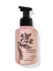 Raspberry Tangerine Gentle Foaming Hand Soap image number null