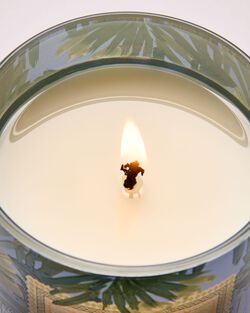 Warm Ocean Breeze Single Wick Candle image number null