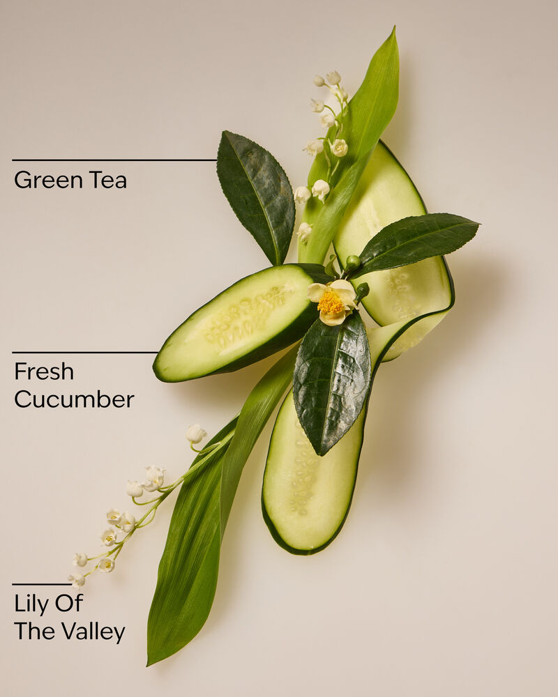 Cucumber & Lily Gentle & Clean Foaming Hand Soap Gentle Foaming Hand Soap