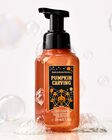 Pumpkin Carving Gentle & Clean Foaming Hand Soap image number null