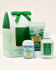 Eucalyptus Spearmint Gift Set image number null