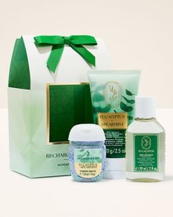 Eucalyptus Spearmint Gift Set image number null
