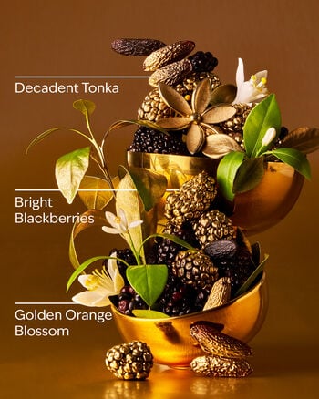 Touch of Gold Hand Cream Hand Cream