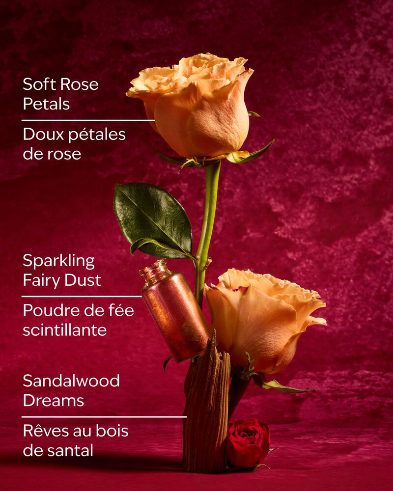 Aurora Lip Gloss Lip Gloss