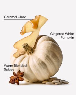 White Pumpkin 3-Wick Candle image number null