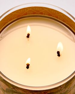 Peach Blossom & Nectar 3-Wick Candle image number null