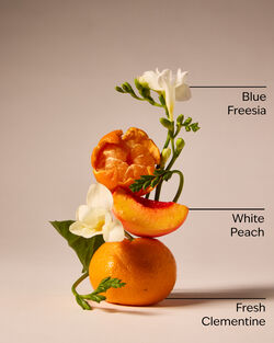 Gingham Wallflowers Fragrance Refill image number null