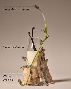Lavender Vanilla Body Wash & Foam Bath image number null