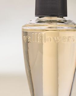 Sweet Orange & Agave Wallflowers Fragrance Refill image number null