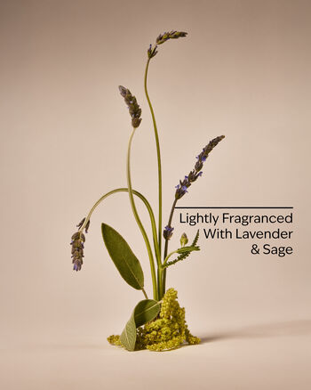 Ultimate Beard Oil Beard Oil