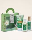 Eucalyptus Spearmint Gift Set image number null