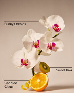 Pink Kiwi Berry Daily Moisturizing Hand Soap image number null