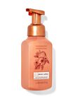 Sweet Apple Gentle & Clean Foaming Hand Soap image number null