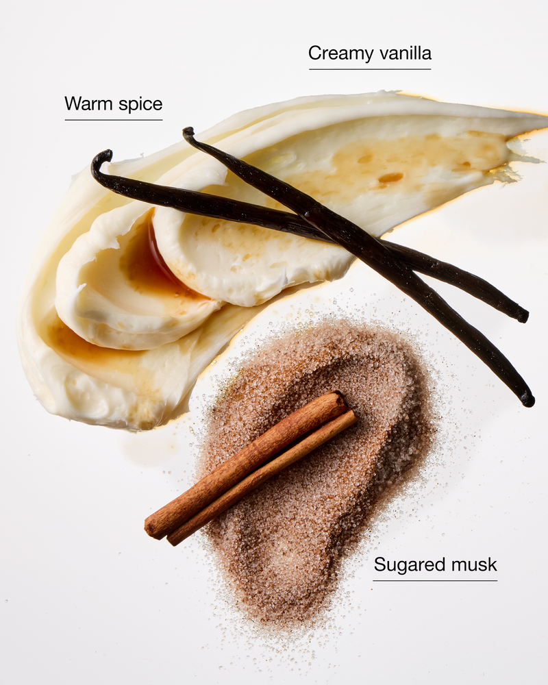 Sugared Snickerdoodle Single Wick Candle Signature Single Wick Candle