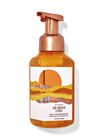 Sun-Washed Citrus Gentle & Clean Foaming Hand Soap image number null