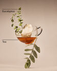 Eucalyptus Tea 3-Wick Candle image number null