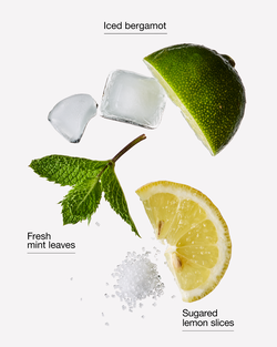 Chilled Lemon Frost Gentle & Clean Foaming Hand Soap image number null