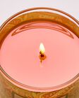 Peach Blossom & Nectar Single Wick Candle image number null