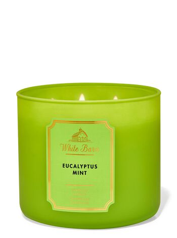 Eucalyptus Mint 3-Wick Candle 3-Wick Candle