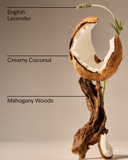 Mahogany Coconut 3-Wick Candle image number null
