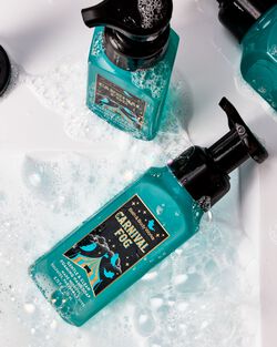 Carnival Fog Gentle & Clean Foaming Hand Soap image number null