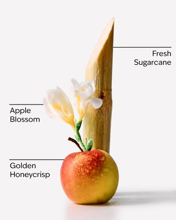 Honeycrisp Apple Wallflowers Fragrance Refill Wallflowers Fragrance Refill