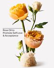 Heirloom Rose Body Wash & Foam Bath image number null