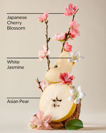 Japanese Cherry Blossom Travel Size Shower Gel Travel Size Shower Gel