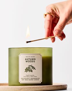 Autumn Woods 3-Wick Candle image number null