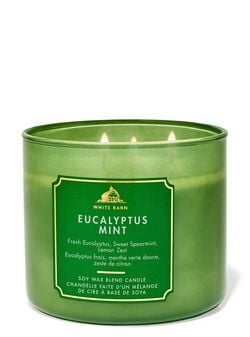 Eucalyptus Mint 3-Wick Candle