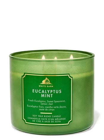 Eucalyptus Mint 3-Wick Candle 3-Wick Candle