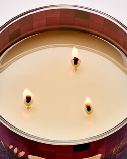 Poppy 3-Wick Candle image number null