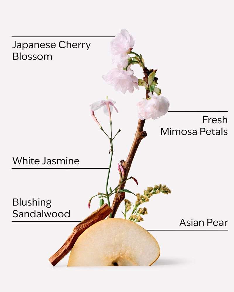 Japanese Cherry Blossom Shea Butter Cleansing Bar Shea Butter Cleansing Bar