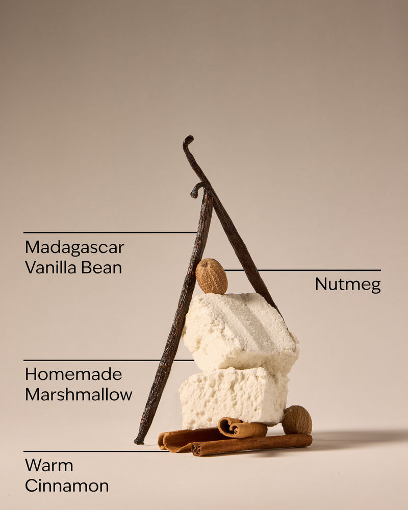 Vanilla Bean Car Fragrance Refill Car Fragrance Refill