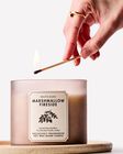 Marshmallow Fireside 3-Wick Candle image number null