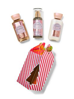 Champagne Toast Mini Gift Set