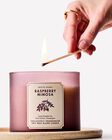 Raspberry Mimosa 3-Wick Candle image number null