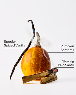 Jack Skellington Fine Fragrance Mist image number null