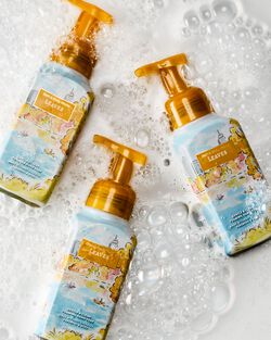 Leaves Gentle & Clean Foaming Hand Soap image number null