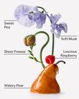 Sweet Pea Body Wash & Shower Gel image number null