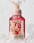Champagne Apple & Honey Gentle & Clean Foaming Hand Soap image number null