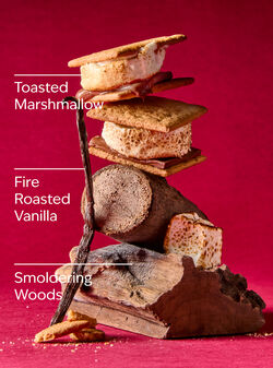 Marshmallow Fireside 3-Wick Candle image number null