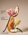 Eau De Coconut Fine Fragrance Mist image number null