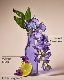 Violet & Musk 3-Wick Candle image number null