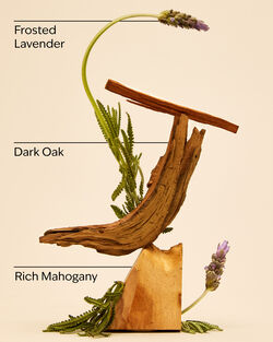 Mahogany Teakwood Cologne image number null