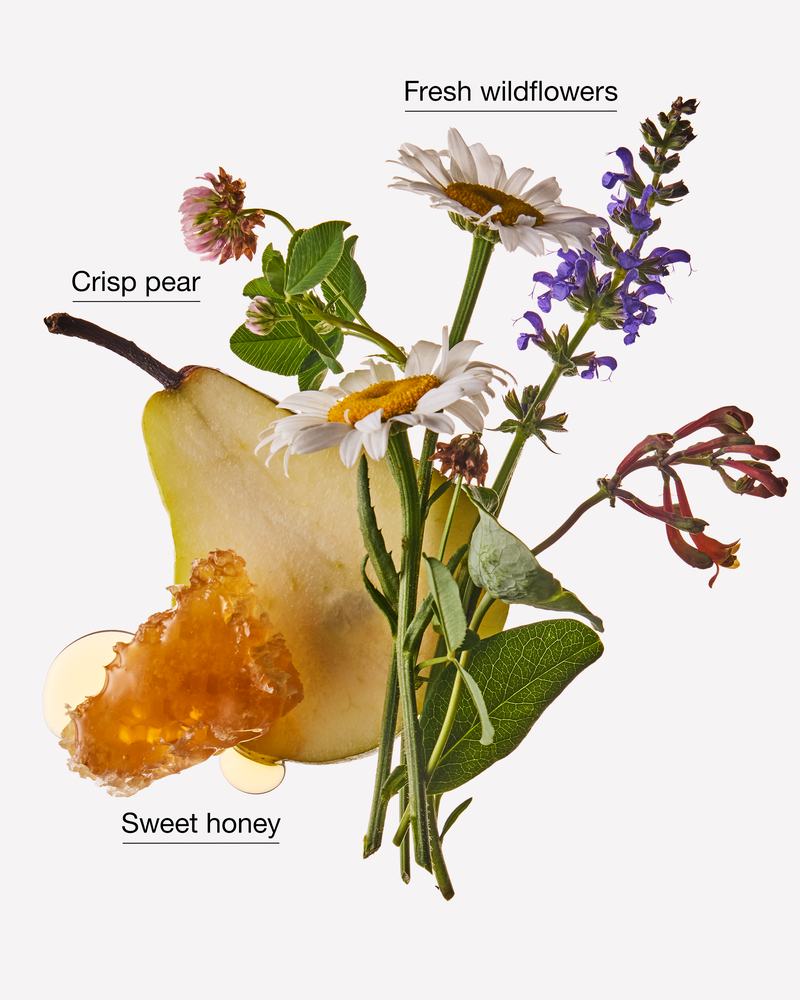 Honey Wildflower Gentle & Clean Foaming Hand Soap Gentle & Clean Foaming Hand Soap