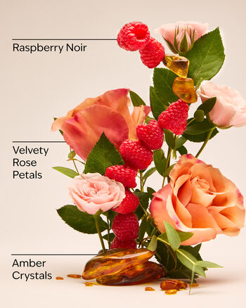 Into The Night Body Cream Ultra Shea Body Cream