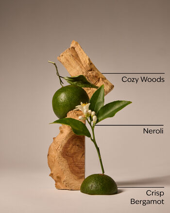 Book Loft 3-Wick Candle 3-Wick Candle